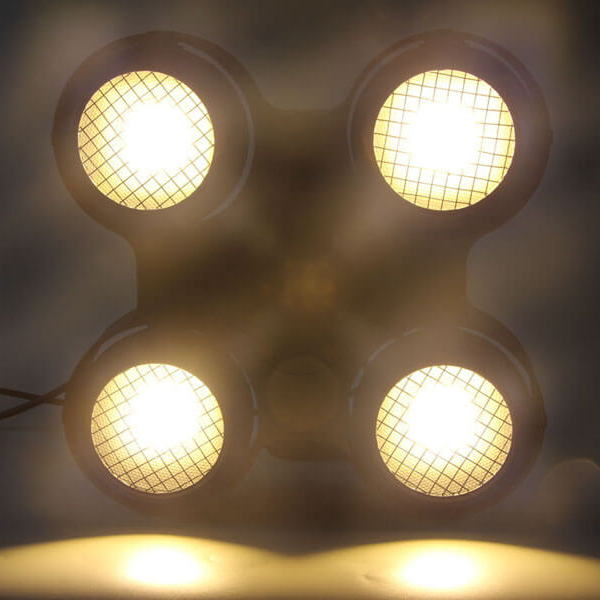 Blinders & Strobes