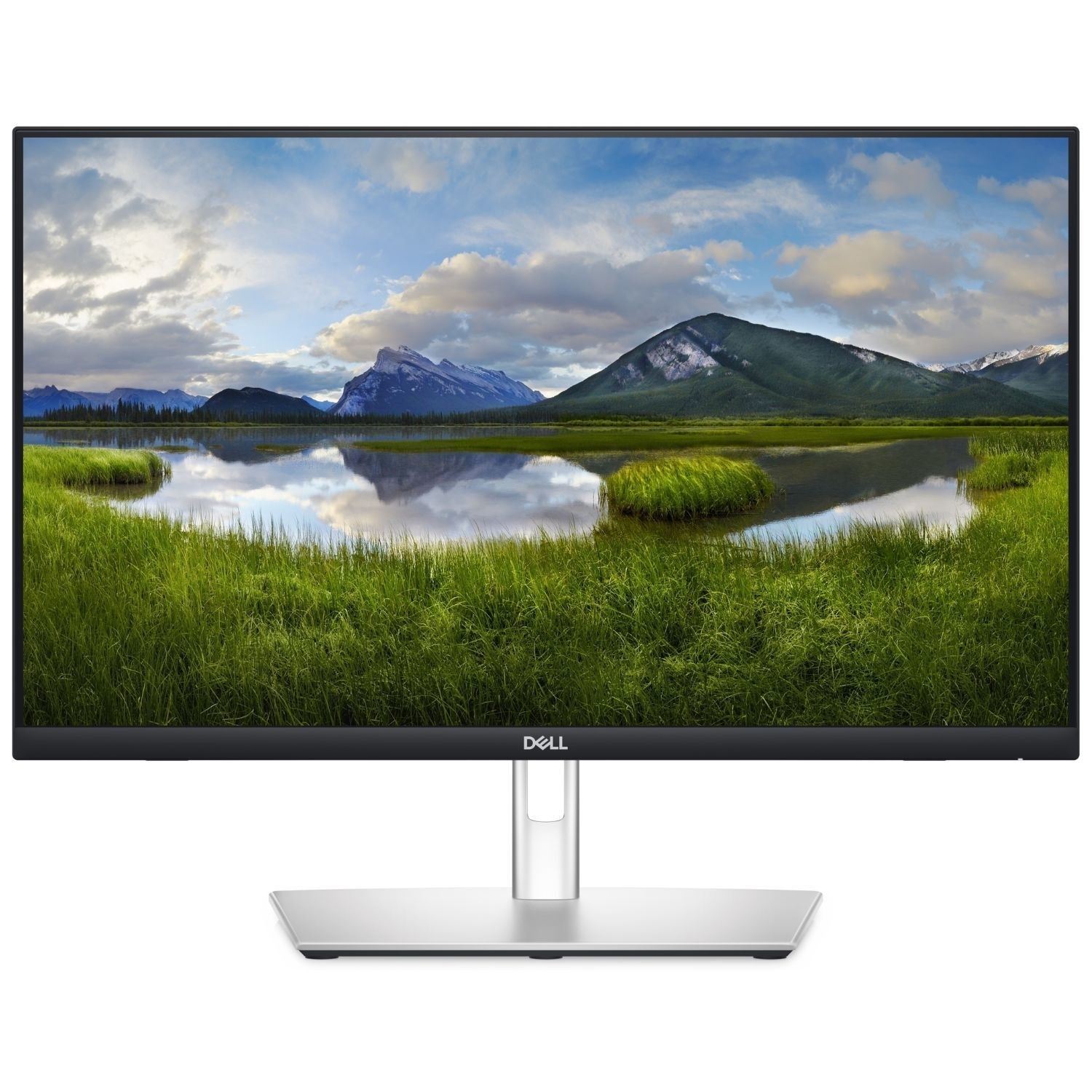 Dell P2424HT 24" Touch Screen