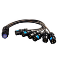 Socapex | 6x 16A/1ph | Fanout