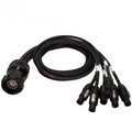 Socapex | 6x PowerCON True1 | Fanout